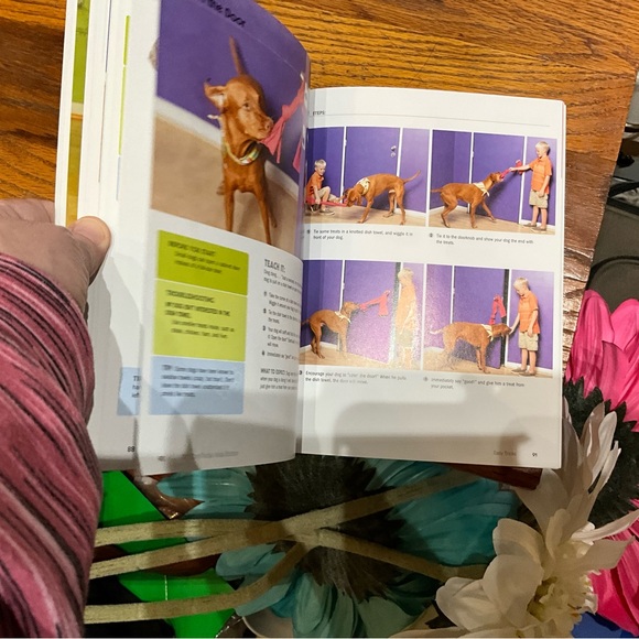 101 Dog Tricks Kids Edition Book. Like New Condition. Easy to follow pictures. - Picture 5 of 6